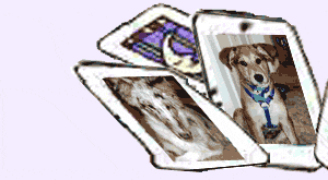 Left-Cards